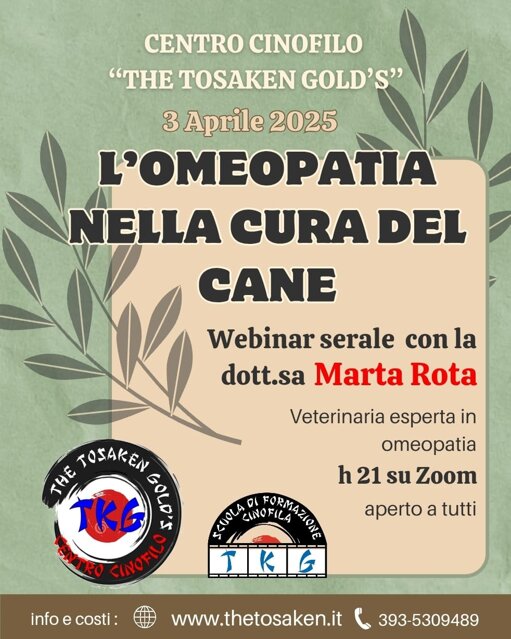 ecefbd6d-0551-4f7b-87d0-6f8440191965