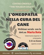 lomeopatia-nella-cura-del-cane