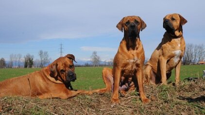 884b58a4-d993-4876-971c-cb4ba491af04