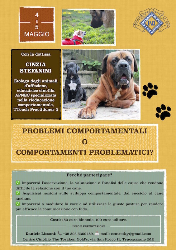 5403a0ca-05c2-4dc7-a0f4-50954c4dd54e