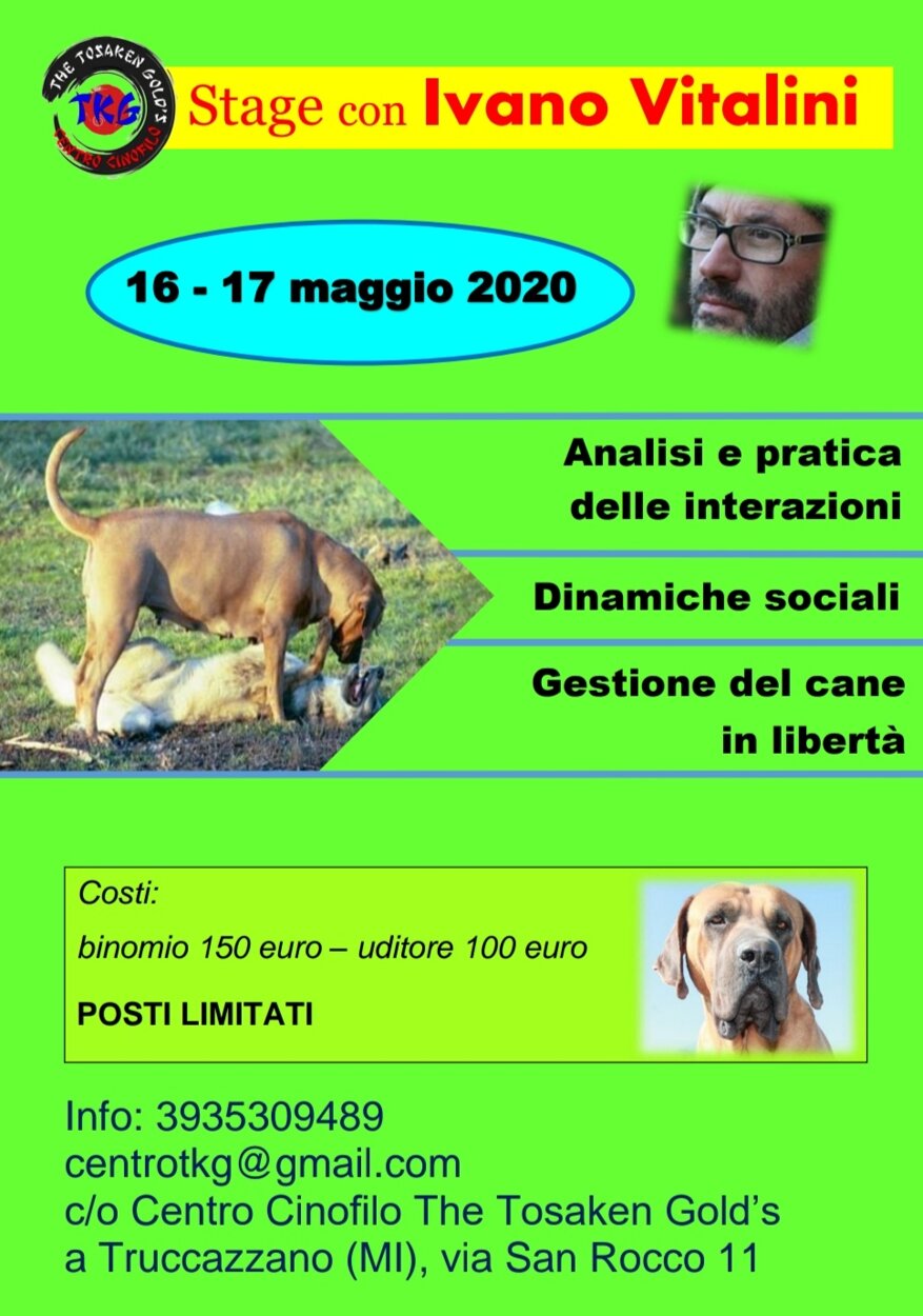 b60ac745-b922-4a4d-a59c-fb70bf2f1812