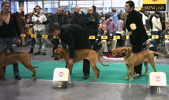 3424e0a0-1b0f-4d45-ad99-1f1edf9ae6a3