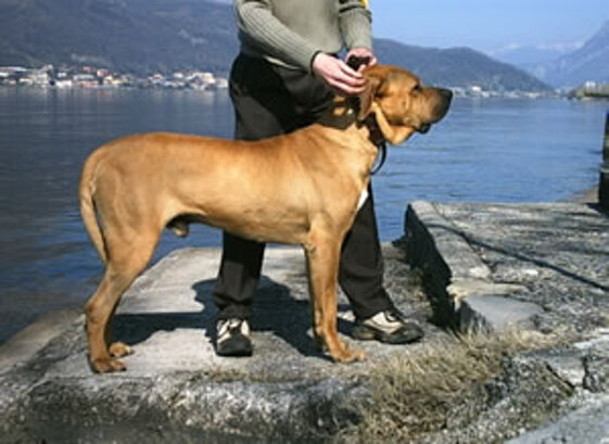 8f0dbc58-2c5e-4e11-928e-53cd6678c1f9