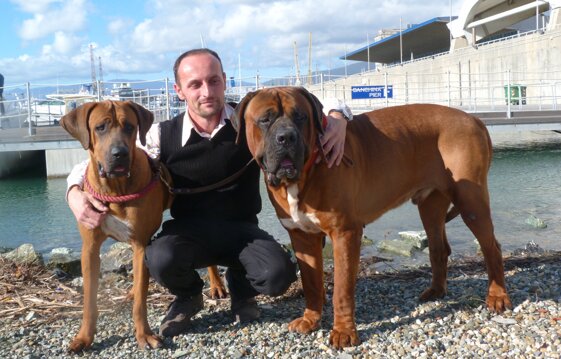 8ad0c432-12cc-4656-a45c-8e68281097fe