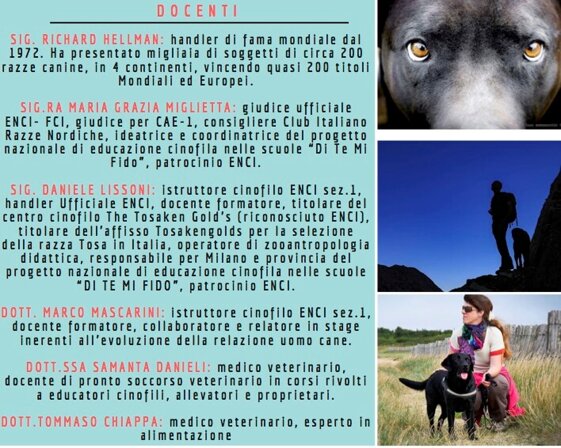 2df90122-6b7d-413a-b5c2-63194e11f8c0