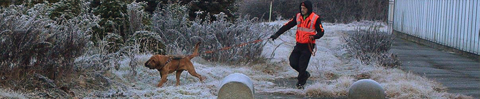 9cb3e77c-dc08-4ab3-9930-19e573422c45