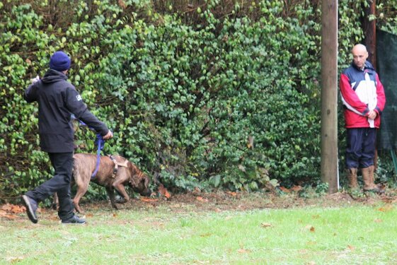 f8554cab-be9e-47c2-964b-1660d2c0d95b