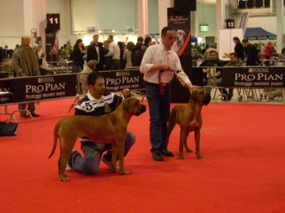 b5840b61-3f68-42ad-9da8-2dbfff295902