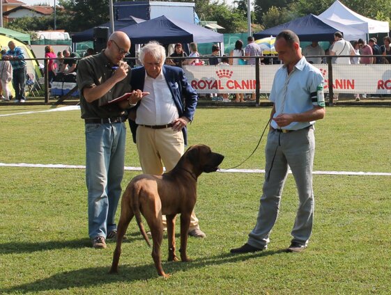 be94a860-d62f-46d4-ba59-bbb89a33db10