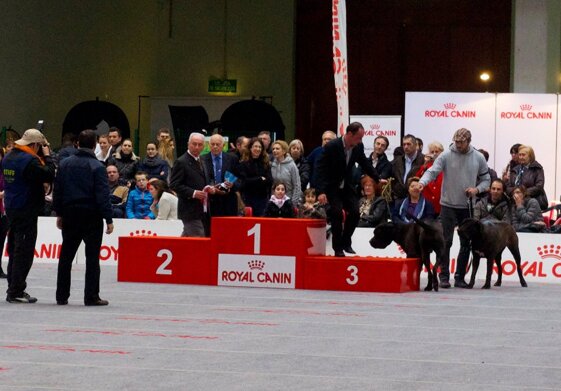 f141f312-61b5-49a5-a51c-ec198d7ef53d