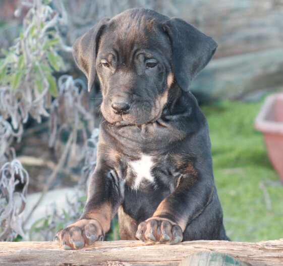 5a05c122-6ff5-4d40-9b0d-fc082cb160cb