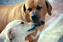 050583aa-e78e-4160-964c-646bae921211