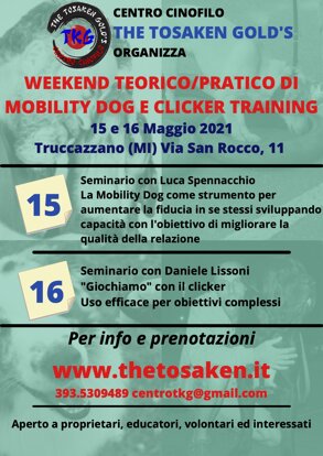 36ed7bdd-e973-451e-bcf9-36654dde477c