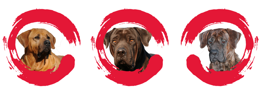 7ddbeb2c-aace-43bd-afe3-8af5694bb9cd