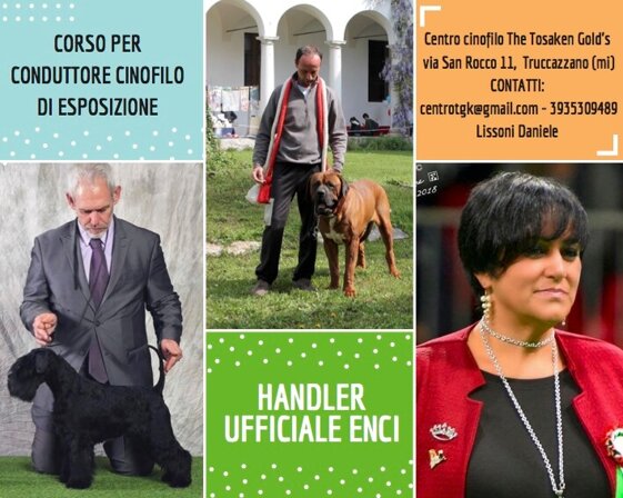 aa8bc368-b721-4106-a291-e84ad3ddd33a