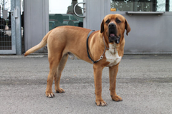 e5ad66fc-cf65-44ca-b399-6b06dd6d688a