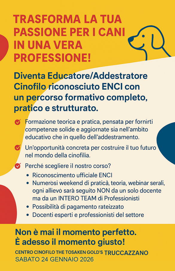 40de379c-3672-4fed-a0c7-dfdc65e5c427