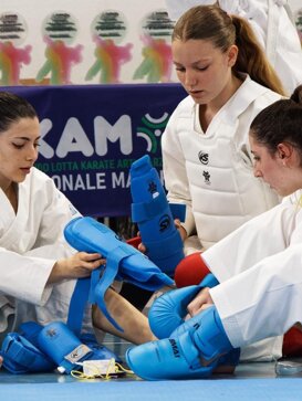 apa_heder_karate apa_heder_karate