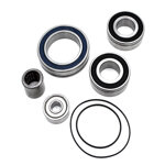 kit-revisione-motore-panasonic-36v-completo