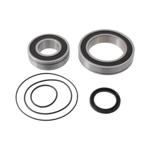 kit-revisione-motore-yamaha-pwpw-sepe-stpw-tepw-cegiant-syncdrive-asse-pedivelle