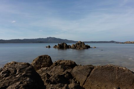 49e06af0a2fddc7aec8059cb397cba0a8729199e