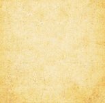 b3b6370c-fec2-422b-8341-82e96f7b1360.jpeg