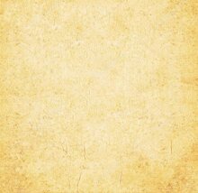 b3b6370c-fec2-422b-8341-82e96f7b1360.jpeg