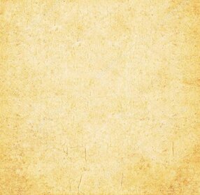 b3b6370c-fec2-422b-8341-82e96f7b1360.jpeg