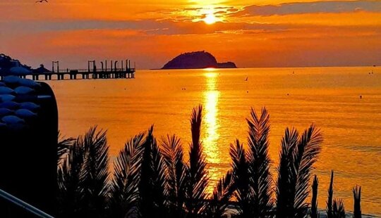 7ac40880-23b8-45d4-a256-1f775bacecca