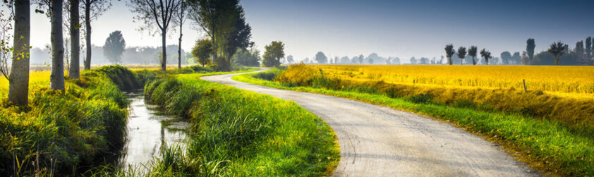 17f25c20-0006-4675-8720-7e3dc6129de2 17f25c20-0006-4675-8720-7e3dc6129de2