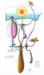 d073-tarocchi-entroalpercorso-intothepath-set-de-luxe