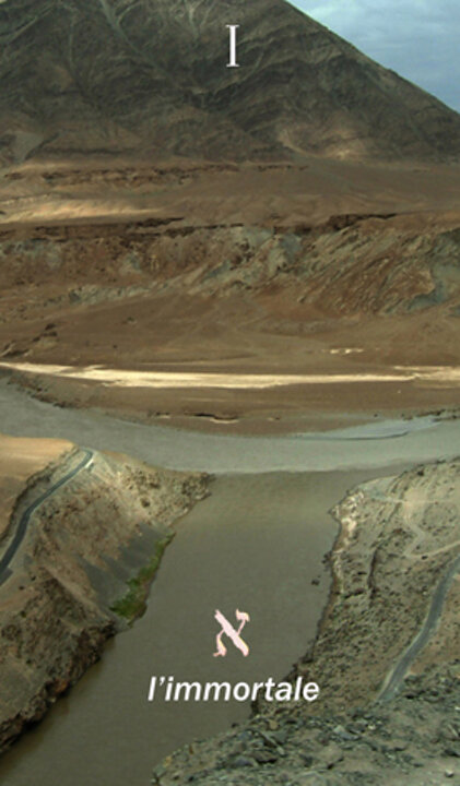 cf701597-0973-4954-bb78-f6548d98fec6 cf701597-0973-4954-bb78-f6548d98fec6