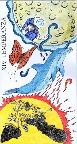 cba056db-5a5d-49d0-9b77-34bce58e7dd5 cba056db-5a5d-49d0-9b77-34bce58e7dd5