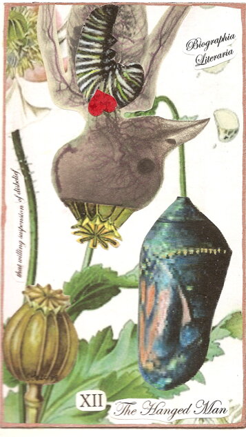 abe66d48-86c6-480d-bc59-cc3d7ed04dac abe66d48-86c6-480d-bc59-cc3d7ed04dac