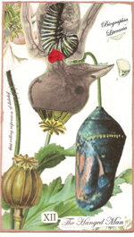 d085-literatarot-oceania