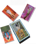 d096-tarocchi-del-respiro