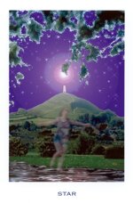 d098-the-parfait-amour-tarot