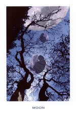 d098-the-parfait-amour-tarot