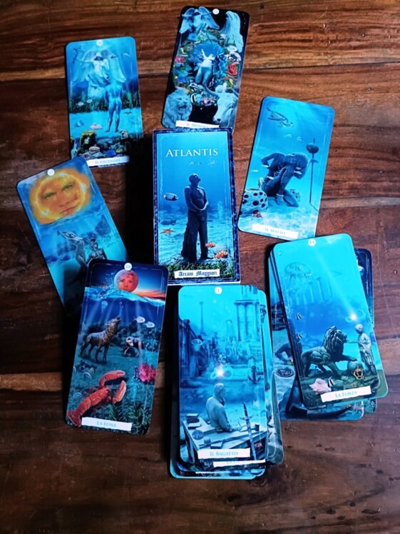 edb516c3-ca7d-493b-ac64-773016179ff7 edb516c3-ca7d-493b-ac64-773016179ff7