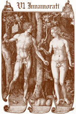 c087-ad-tarot-albrecht-durer-set-de-luxe