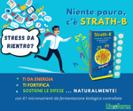 strath-b-compresse