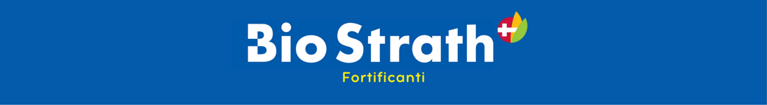 5ed1d2c6-8003-4b00-8f33-6279243705bb