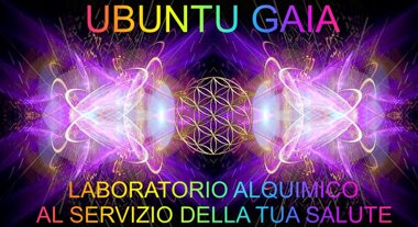 407bd323-e660-4310-9522-98e011cceb22