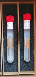 set-di-due-penne-life-pen-gans-plasma-co2-zinco-e-aminoacidi-penna-con-gans-plasma-co2