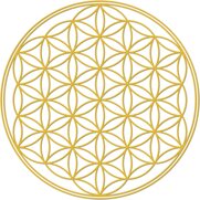 48995f2c-323f-419f-8f32-97ba7d968997