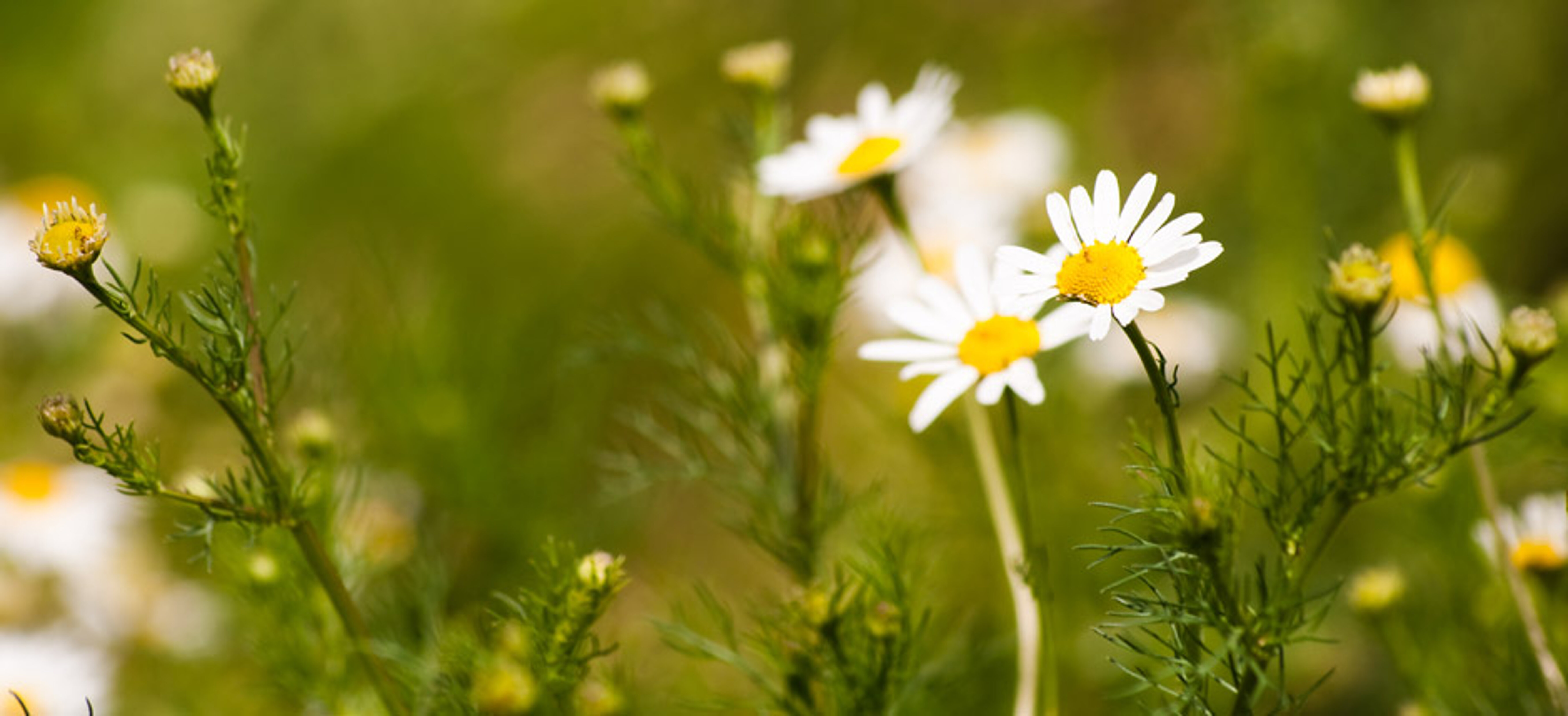 615f19b0-ef59-456a-acd8-7561a3d430a6