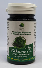 wakame