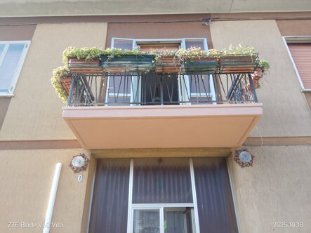 img_20251018_102037.jpeg