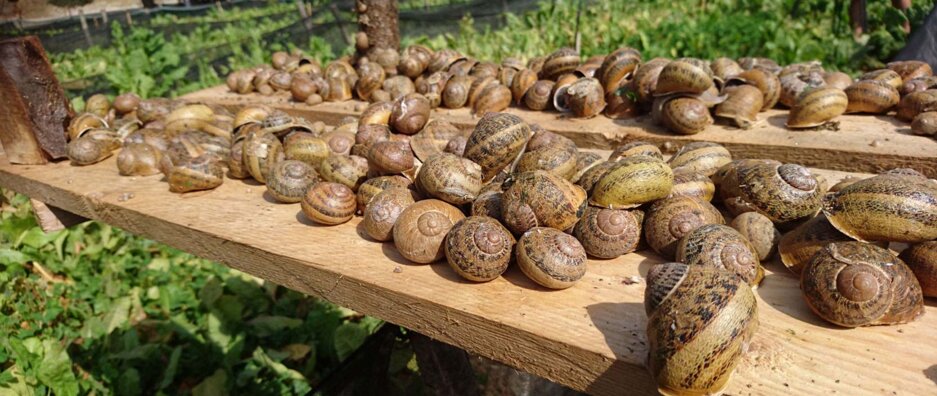 48f49e9a-cac0-4b2e-9503-1c334ec1c65f