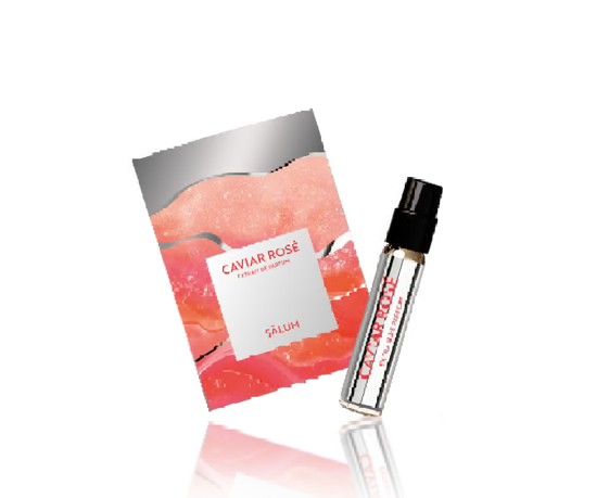 299d507a-a702-4541-9ca0-dadab9042e3a